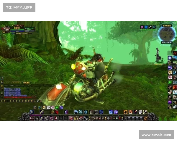 魔兽世界怀旧服猎人：生命值增强之道